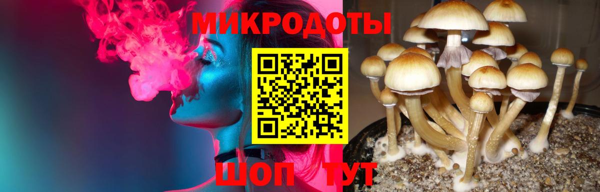 Галлюциногенные грибы Magic Shrooms  Вход с VPN  Конаково  Галлюциногенные грибы мицелий 
