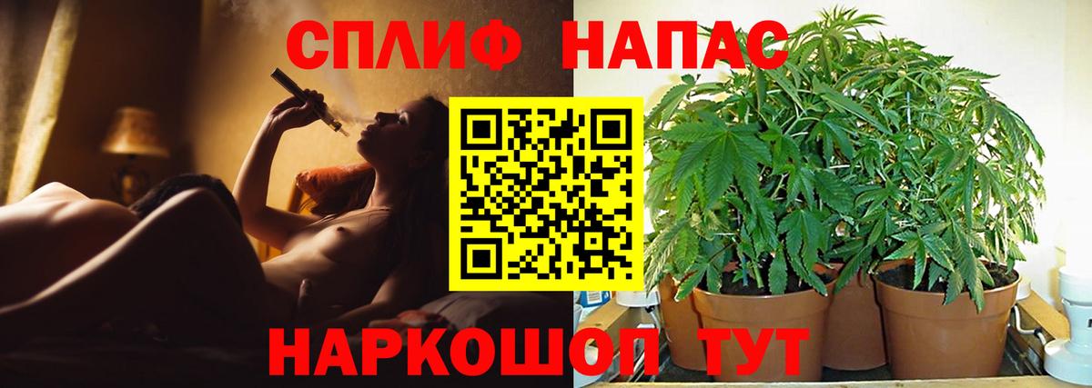 Конопля Amnesia Конаково
